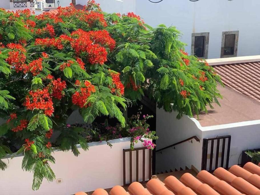 Villa Garoe Puerto de las Nieves 외부 사진